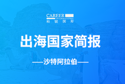 k8凯发(中国)GO GLOBAL | 沙特阿拉伯国家简报